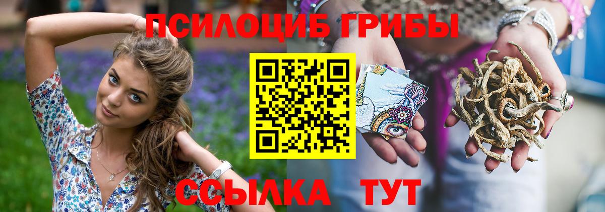 Галлюциногенные грибы мицелий Ногинск